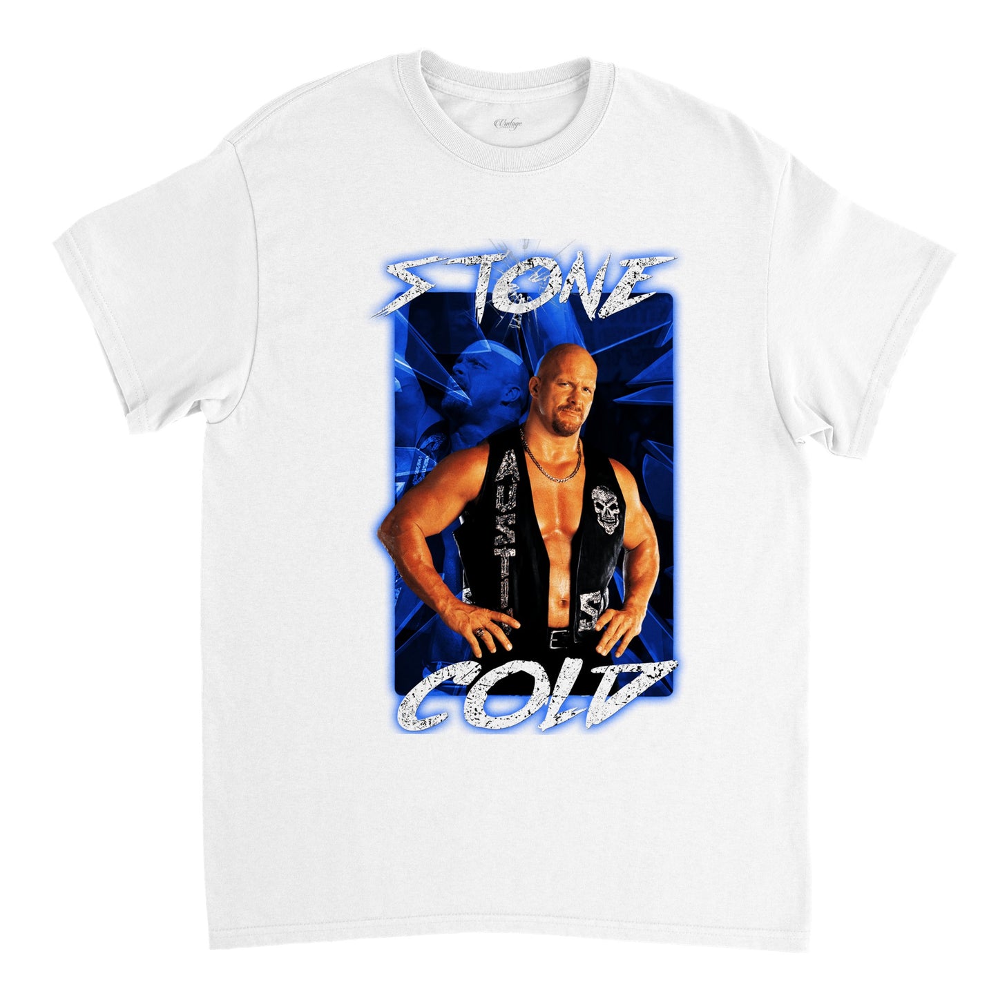 STONE COLD STEVE AUSTIN (DS)